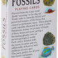 Fossils Set Of 52 Playing Cards + Jokers (Hpc)