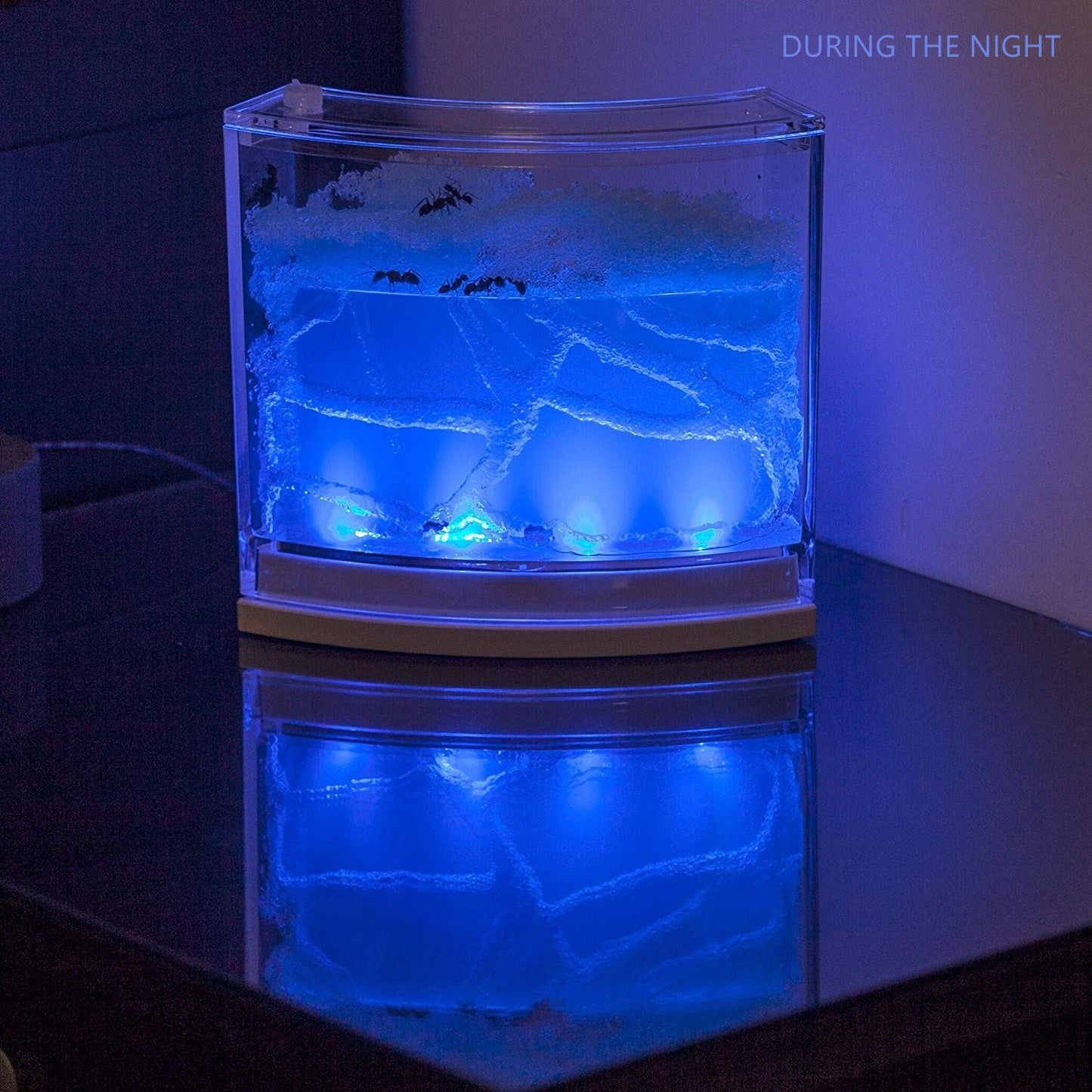 Navadeal Ant Farm Habitat For Kids W/ Led Light – Stem Toys, Educational & Science Kit With Nutrient Blue Gel, Observing Ants Create 3D Tunnels To Study Ants Behaviors & Ecosystem ( Ants Not Included)
