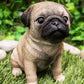 Ebros Gift Realistic Lifelike Adorable Sitting Pug Dog Statue 6' Tall Pet Pal Pugs Puppy Pup Dog Breed Collectible Resin Decor Figurine With Glass Eyes