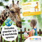 Animal Flash Cards For Toddlers & Kids - Animal Abc Flashcards - Animal Alphabet - 101 Toddler Flashcards - Preschool Flash Card