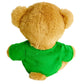 Deluxe Paws Eco Plush Special Occasions, 100% Recycled (Good Luck)