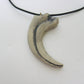 Mid-Land Scientific Sauronitholestes Dinosaur Claw Pendant Necklace (344-5)