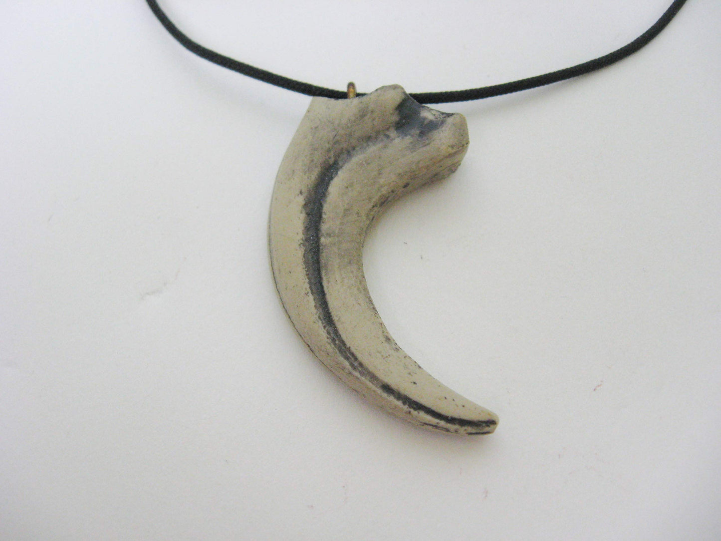 Mid-Land Scientific Sauronitholestes Dinosaur Claw Pendant Necklace (344-5)