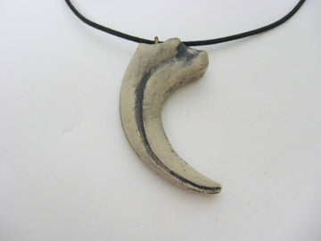 Mid-Land Scientific Sauronitholestes Dinosaur Claw Pendant Necklace (344-5)