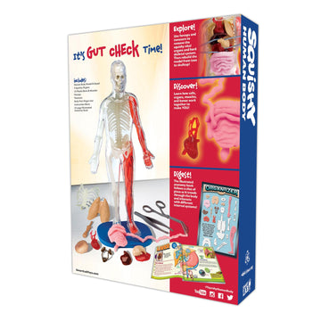 Smartlab Qpg Lab For Kids, Squishy Human Body, Grade 3-8