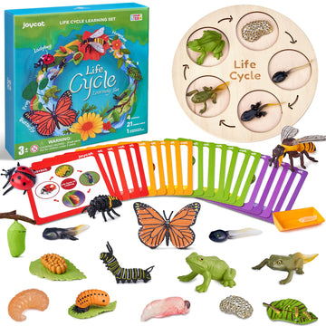 Joycat Life Cycle Learning Education Toys, Insect Caterpillar To Butterfly Kit, Ladybug, Bee, Tadpole To Frog Kit Life Cycle Toys For Kids, Preschool Learning Activities For Age 3 4 5 6 7 8