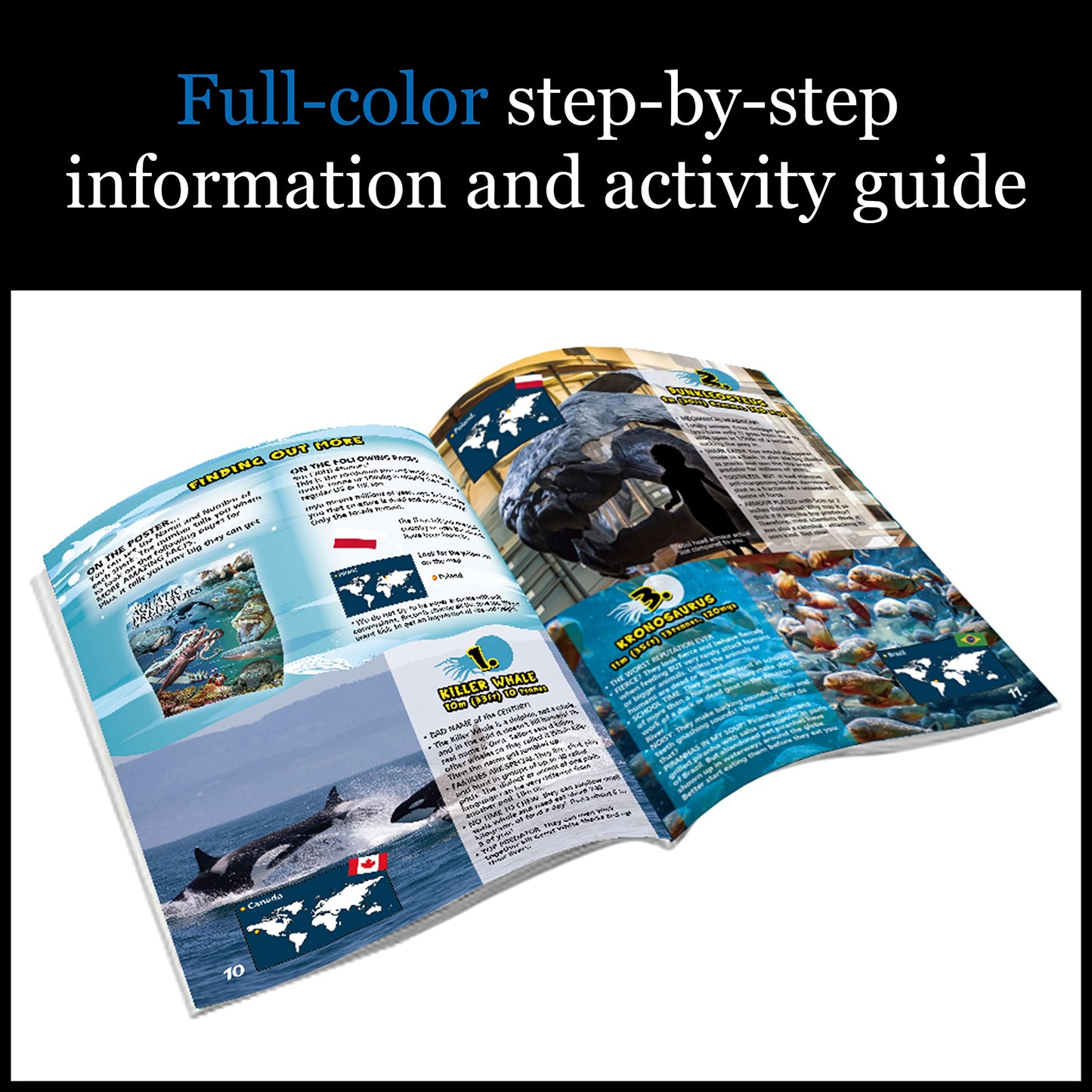 Wes Extreme Aquatic Predators World