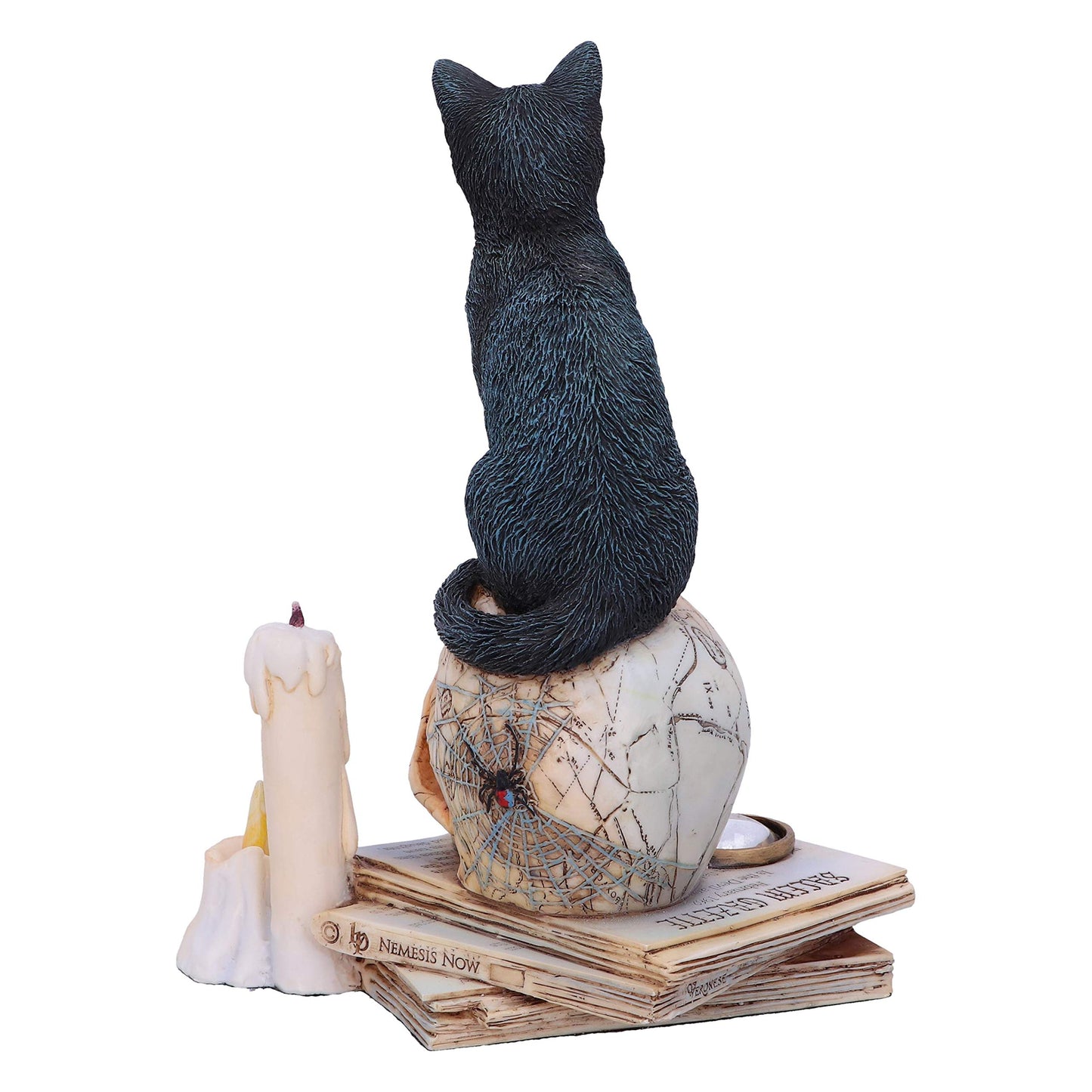 Nemesis Now Lisa Parker Spirits Of Salem Figurine 16.5Cm, Resin, Lisa Parker Figurine, Spirits Of Salem Artwork, Salem Witch Trials Gothic Ornament, Cast In The Finest Resin, Expertly Hand-Painted