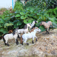 Wonwontoys 5Pcs Farm Animal Figure Horse Toys Knabstrupper Pinto Tennessee Camargue White Horse Table Decorations Children'S Cognitive Toys For Boys Girls Christmas Scene Decoration Cake Decoration