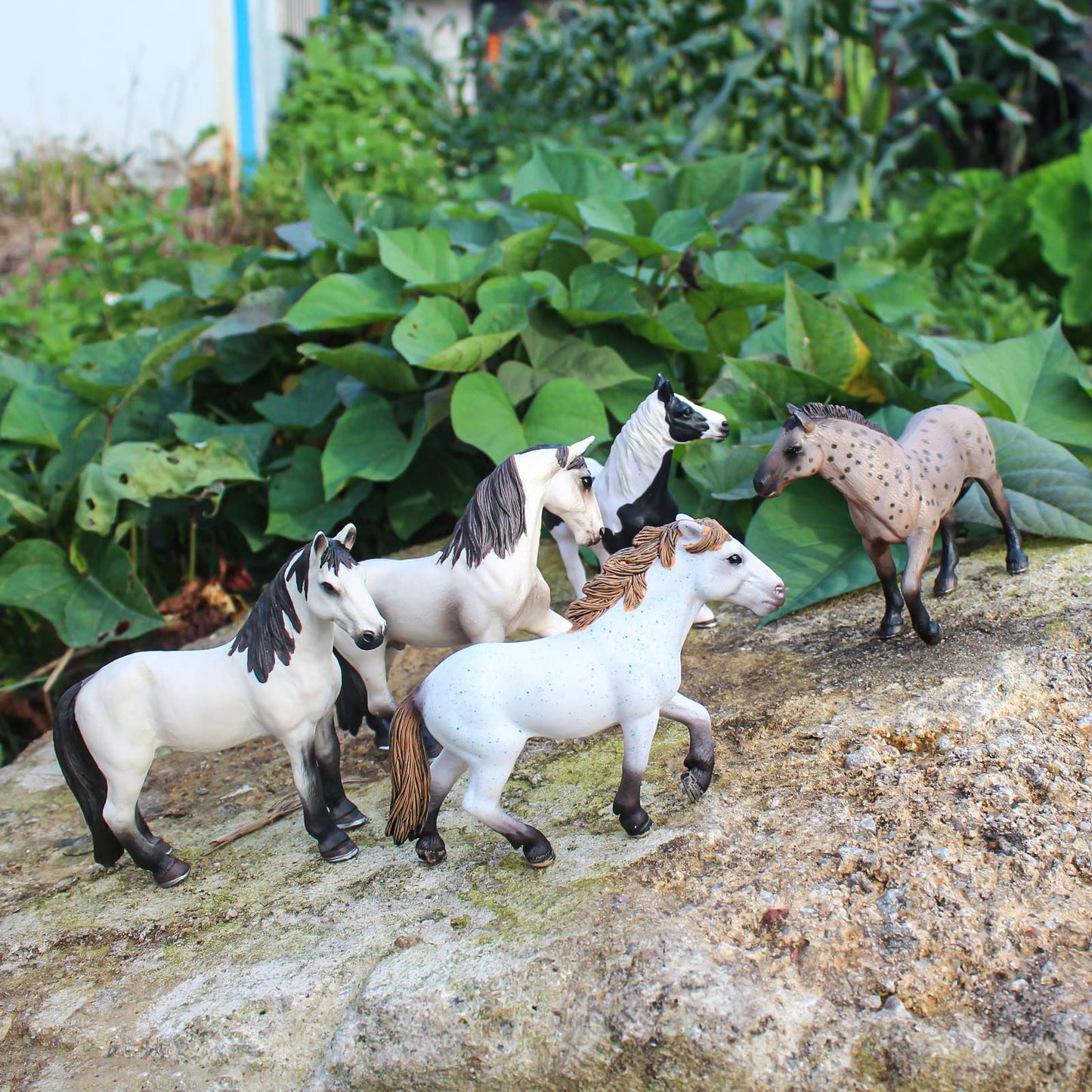 Wonwontoys 5Pcs Farm Animal Figure Horse Toys Knabstrupper Pinto Tennessee Camargue White Horse Table Decorations Children'S Cognitive Toys For Boys Girls Christmas Scene Decoration Cake Decoration