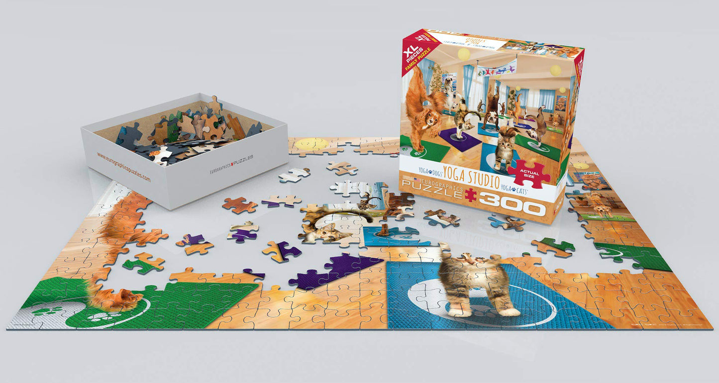 Eurographics Yoga Studio 300-Piece Puzzle
