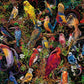 Ravensburger 1000-Piece Jigsaw Puzzle - Birds of Art, 27x20 inches, Multicolor, Cardboard, Model 16832, Unique Artwork, FSC Certified