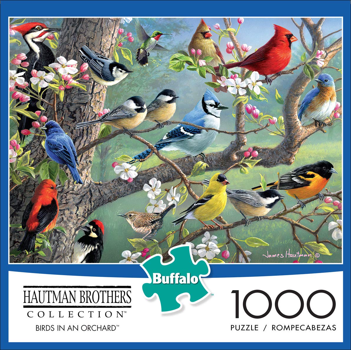 Buffalo Games 1000 Piece Jigsaw Puzzle - Hautman Brothers Birds in an Orchard - Large Multicolor Paper Puzzle