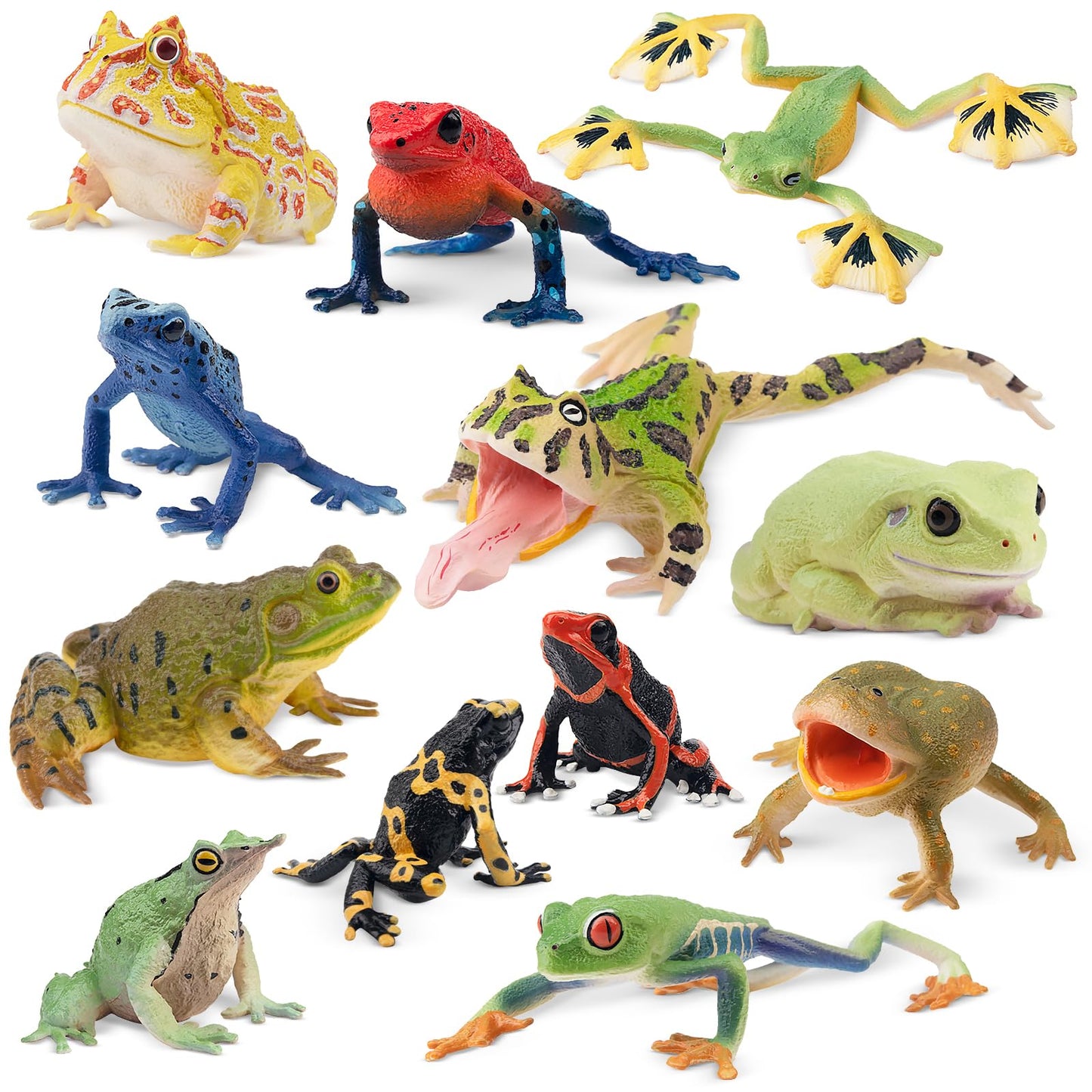 Toymany Frog Toy Figures Set - 10pcs Realistic Plastic Rainforest Animals - Model QINGWA01-10P001 - Perfect for Cake Toppers and Decor