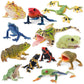 Toymany Frog Toy Figures, Plastic Rainforest Woodland Animals Toy Frogs Set With Realistic Poison Dart Frog, Cake Topper Party Favor Garden Flowerpot Plants Decor