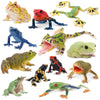 Toymany Frog Toy Figures, Plastic Rainforest Woodland Animals Toy Frogs Set With Realistic Poison Dart Frog, Cake Topper Party Favor Garden Flowerpot Plants Decor