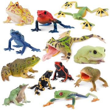 Toymany Frog Toy Figures, Plastic Rainforest Woodland Animals Toy Frogs Set With Realistic Poison Dart Frog, Cake Topper Party Favor Garden Flowerpot Plants Decor