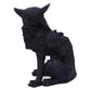 Nemesis Now Small Black Cat Witches Familiar Figure Salem, 19.6Cm, D5526T1