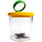 Safari Toys World'S Best Bug Jar