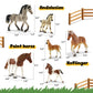 Zippytots 10PCS Horse Figurine Set - Realistic Plastic Toys for Toddlers - Educational Gift & Party Favors - Model BT013