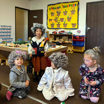 Lfdavp Old Lady Costume Wig For Girls, 100Th Day Of School Kids Granny Wigs 20Pcs (Grey)