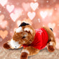 DolliBu I Love You Valentine Plush Lying Brown Horse - Cute Stuffed Animal with Red Shirt and Name Personalization Gift for Valentines Day  Birthday  Anniversary  Romantic Date - 10.5 Inches