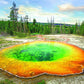Morning Glory Pool 1000-Piece Puzzle
