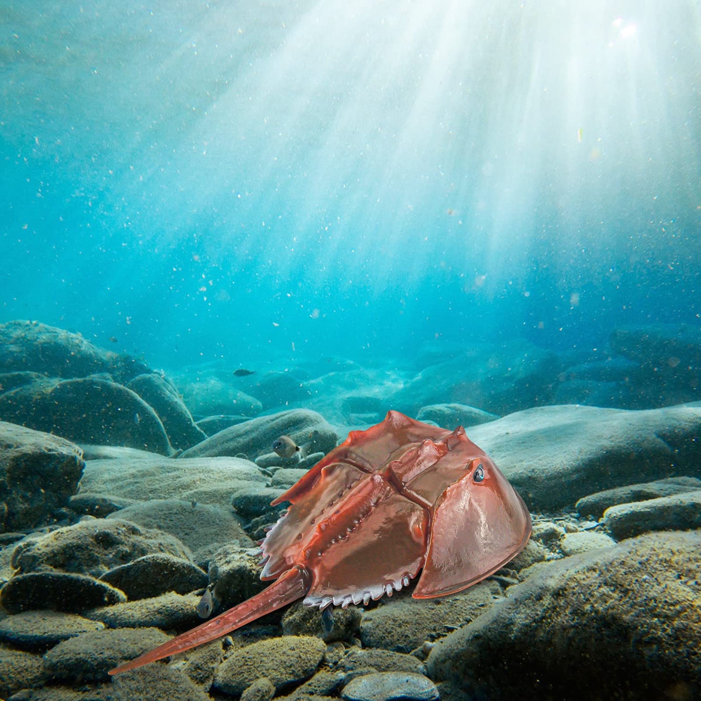 Lc Joycre Plastic Crab Toy Horseshoe Crab Figurine 7 Inch Sea Creatures Toys For Kids Crab Decor For Collection Realistic Sea Li