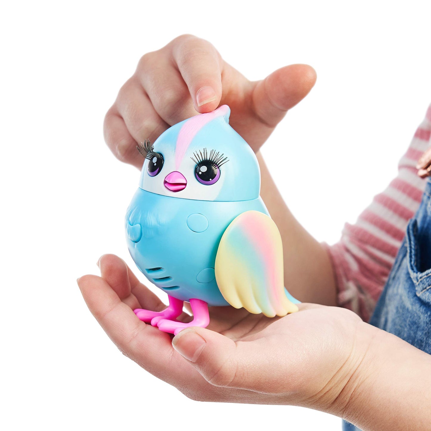 Little Live Pets Bird And Bird House - Rainbow Tweets, Multicolor (26102)
