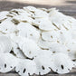 Real Sand Dollars Under 1 (200 Pack) - Sand Dollar Wall Art & Ornament Set - Beach Wedding Decor - Nautical Party Table Decor -