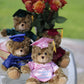 Plushland Plush Stuffed Animal Toys 12 Inches Present Gifts for Graduation Day  Personalized Text  Name or Your School Logo on Gown  Best for Any Grad School Kids (Pink Gown)