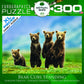 Bear Cubs Standing Puzzle, 300-Piece