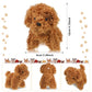 Sumind 9 Pcs Mini Plush Dog Stuffed Animals Bulk Dog Plush Party Favors For Easter Goodie Bag Fillers Baby Show Birthday(Curly Puppy)