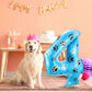 Hungdao 40 Inch Blue Dog Paw Number Balloon Giant Paw Pups on Patrol Number Balloon Blue Dog Party Favors for Dog Party Dog Paw