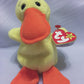 BEANIE BABIES Ty Quackers The Duck