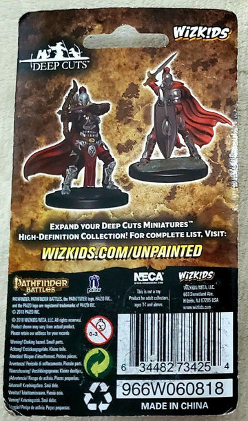 Wizkids Pathfinder Deep Cuts Unpainted Miniatures: Wave 6: Female Knights/Gray Maidens