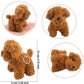 Haconba 12 Pack 4.72 Inch Mini Teddy Dog Plush Stuffed Puppy Dog Animal Toy For Pendant Keychain Baby Shower Birthday Carnival P