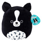 Squishmallows Original 10-Inch Monty The Border Collie - Official Jazwares Little Plush - Collectible Soft & Squishy Stuffed Animal Toy - Add to Your Squad - Gift for Kids  Girls & Boys-New