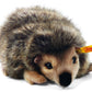 Steiff Joggi Hedgehog Stuffed Animal with Soft Woven Fur - enhanced Plush Toy or Gift for Ages 3 and Up  Mottled Brown