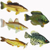 Toy Fish Factory American Angler Toy Fish Set - Miniature Largemouth Bass, Crappie, Bluegill, Catfish, Striped Bass - Multicolor, Plastic
