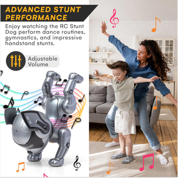 Top Race Robot Dog Toy - Interactive Fun And Educational Stem Remote Control Robot Toy For Kids - Dances, Sits, Stands, Barks, Walks - Rechargeable - Plastic Pet Robot - Dark Grey