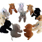 Plush Cats, Cute Plush Kittens - Party Packs! (Cute Cats)