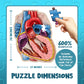 Human Heart Anatomy Floor Puzzle — Genius Games Doctor Livingston Jr Anatomy Toy - Kids Puzzles & Science Toys - Human Heart Anatomy Model - 100 Piece Jigsaw Puzzles For Kids, Toddlers, Teens