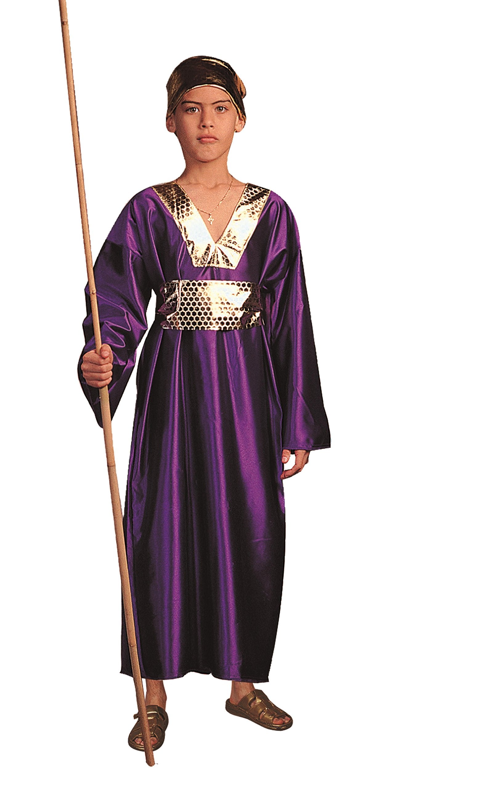Wiseman (Purple) - Large Child Costume