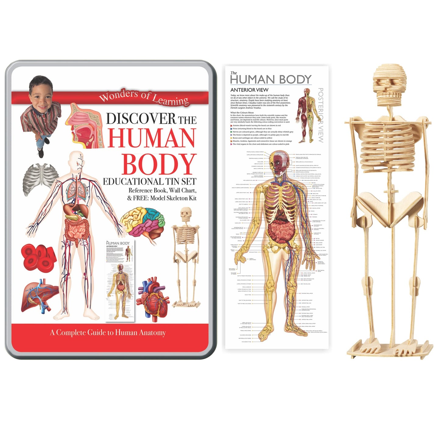 Wonders of Learning Wonders of Learning Tin Set, Discover The Human Body