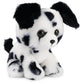 Gund Boo, The Worlds Cutest Dog, Boo & Friends Collection Dalmatian Puppy, Stuffed Animal For Ages 1 And Up, 5