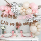 Cowgirl Baby Shower Decoration A Little Cowgirl is On The Way Banner Western Boots Hats Backdrop Pink