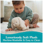 Gund Baby Clover Bunny Plush, Bunny Stuffed Animal For Babies And Toddlers, Cream, 10