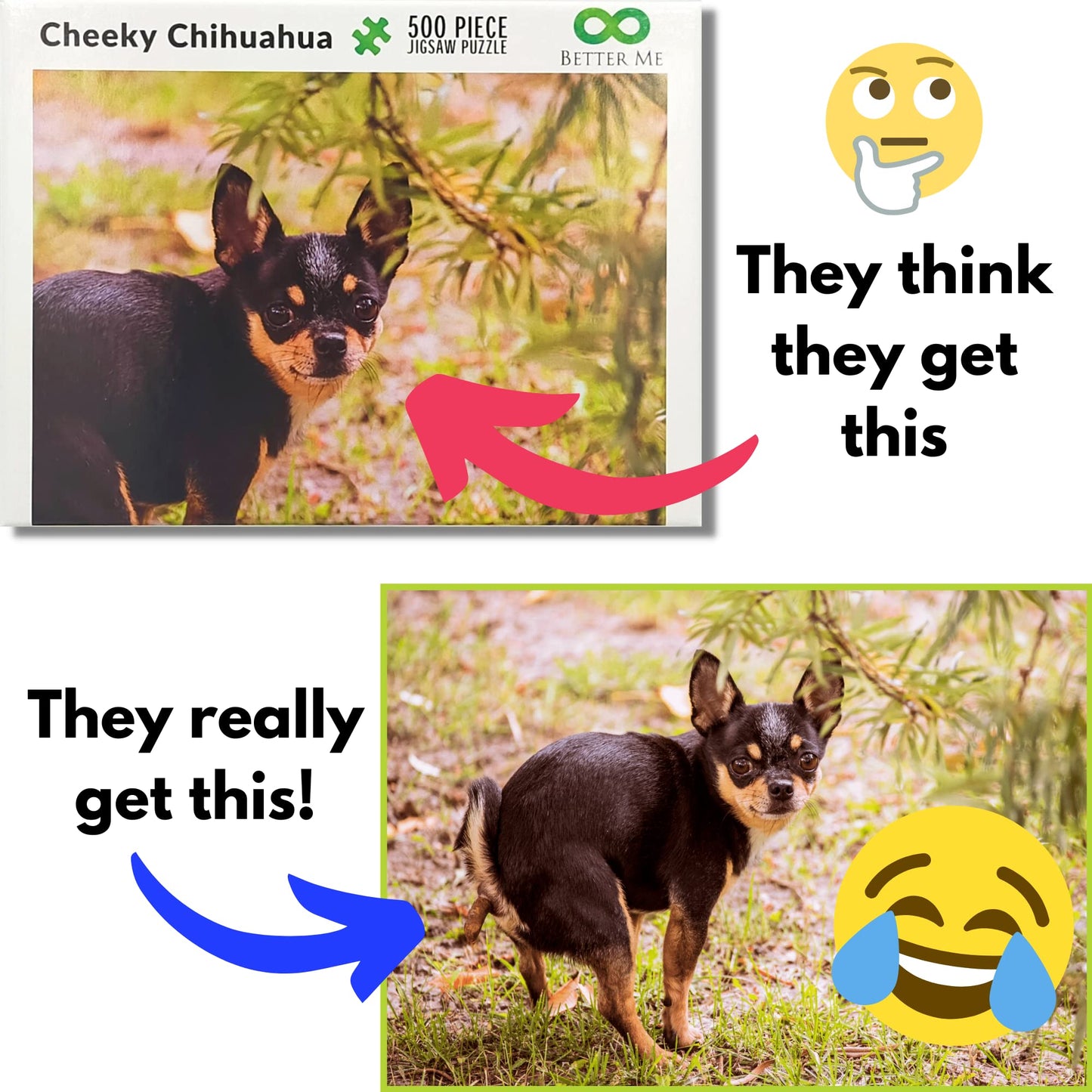 Better Me Prank Puzzle - 500 Piece Cheeky Chihuahua Pooping Dogs Gag Gift for Adults & Teens, Cardboard Fun Puzzle