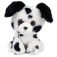 Gund Boo, The Worlds Cutest Dog, Boo & Friends Collection Dalmatian Puppy, Stuffed Animal For Ages 1 And Up, 5